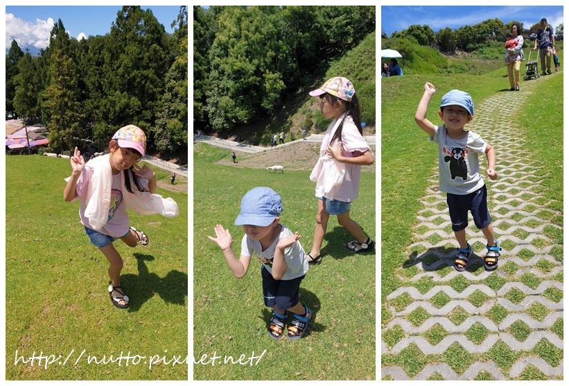 84M_45.jpg 84M_45.jpg