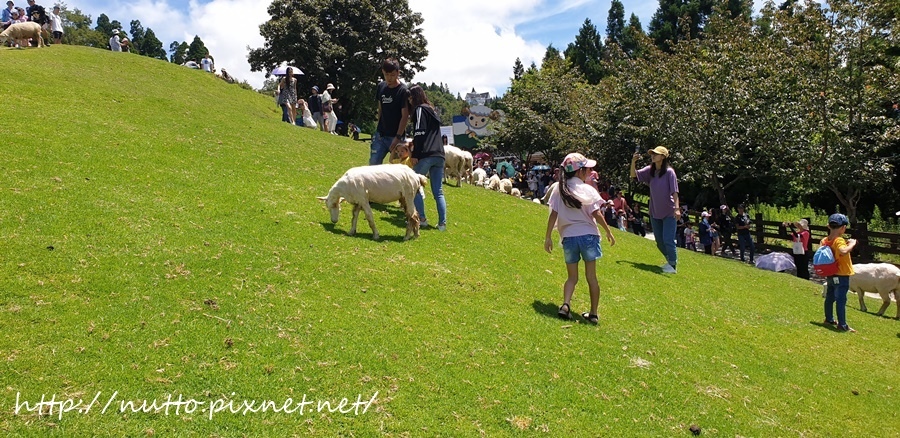 84M_46.jpg 84M_46.jpg