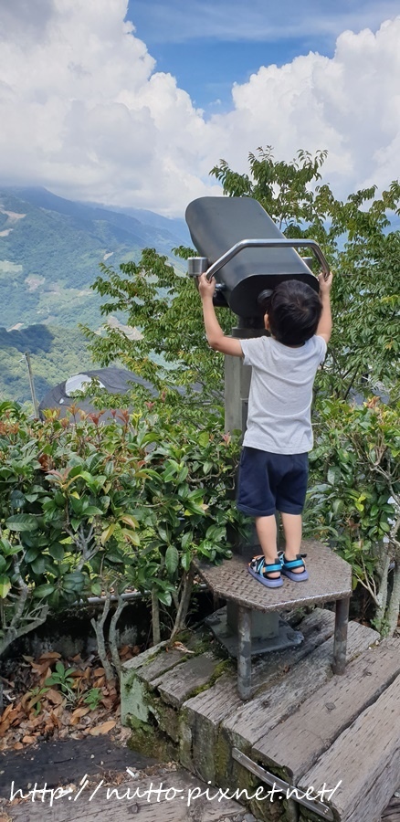 84M_56.jpg 84M_56.jpg