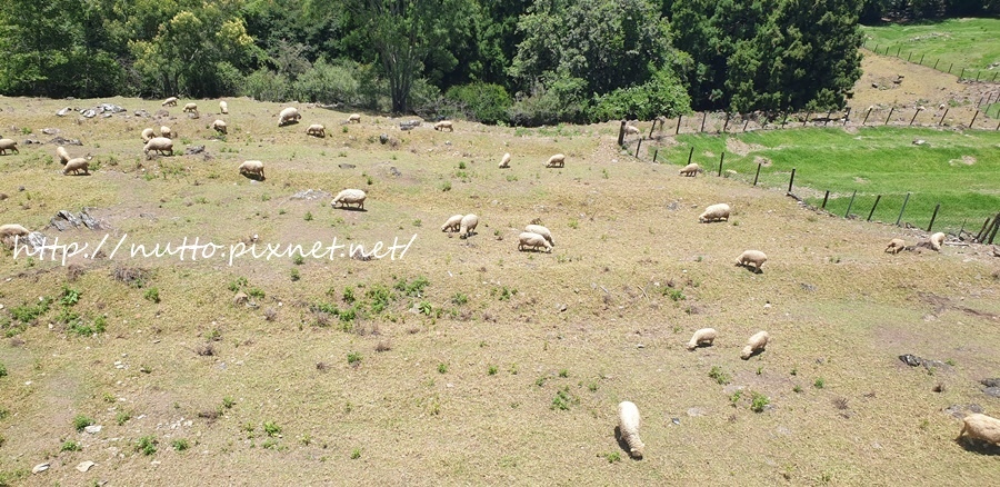 84M_51.jpg 84M_51.jpg