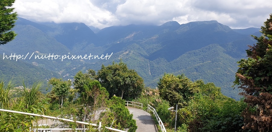 84M_59.jpg 84M_59.jpg