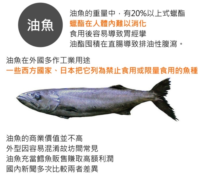 比目魚03.jpg