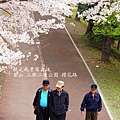 三樂公園櫻花路08