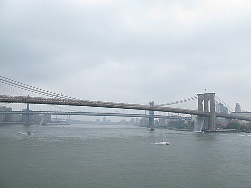 IMG_9986.JPG