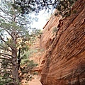 sedona4.jpg