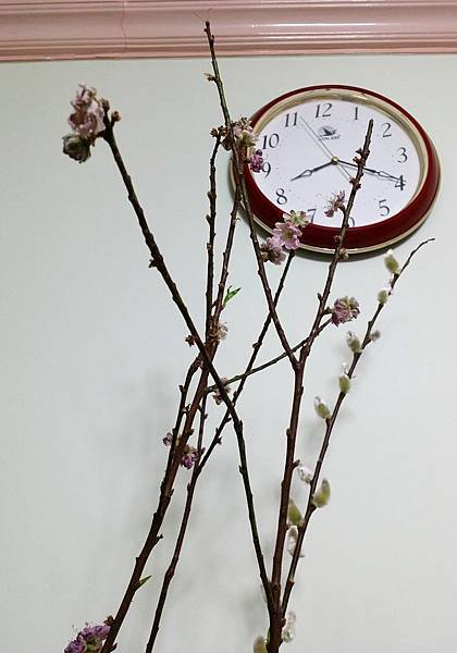 20150306_201833.jpg 20150306_201833.jpg
