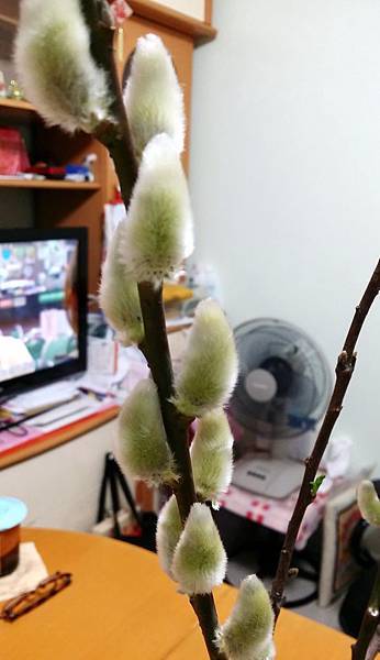 20150306_214138.jpg 20150306_214138.jpg
