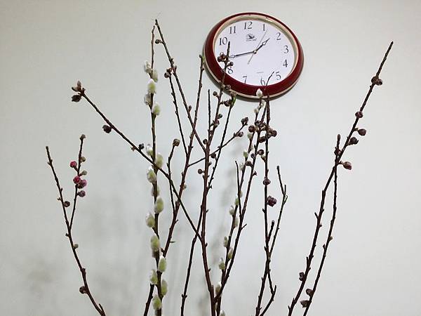 20150219_014251.jpg 20150219_014251.jpg