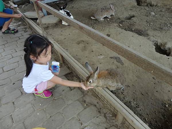 20150721-20150820滿5歲3個月，未滿5歲4個月