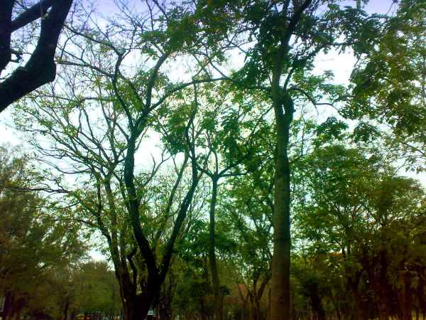 201103263755.jpg