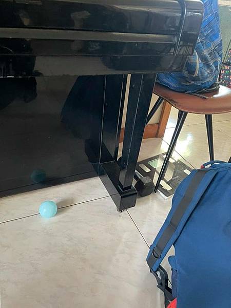 246416203_1065410524211049_2192004367602645120_n.jpg 246416203_1065410524211049_2192004367602645120_n.jpg