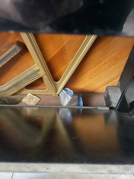 245530299_1550856261913551_2223673626226081902_n.jpg 245530299_1550856261913551_2223673626226081902_n.jpg