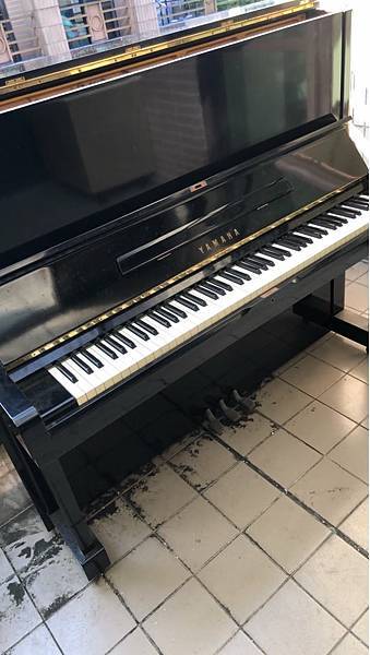 246816263_592587042058643_6463072858959193841_n.jpg 246816263_592587042058643_6463072858959193841_n.jpg