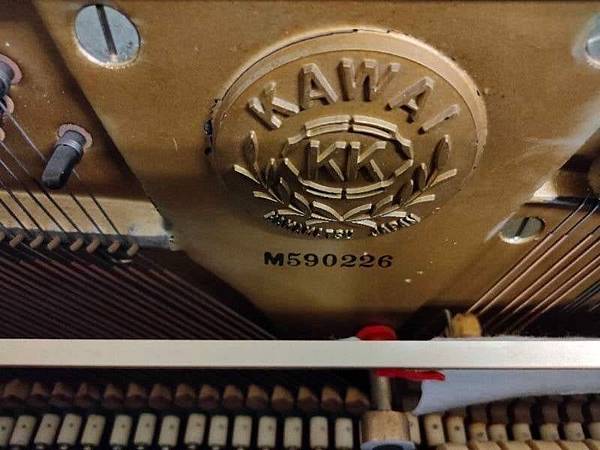 313431368_688180772832652_1973261539957711720_n.jpg 313431368_688180772832652_1973261539957711720_n.jpg