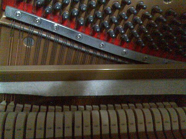 800px-Stand_piano(inside).jpg 800px-Stand_piano(inside).jpg