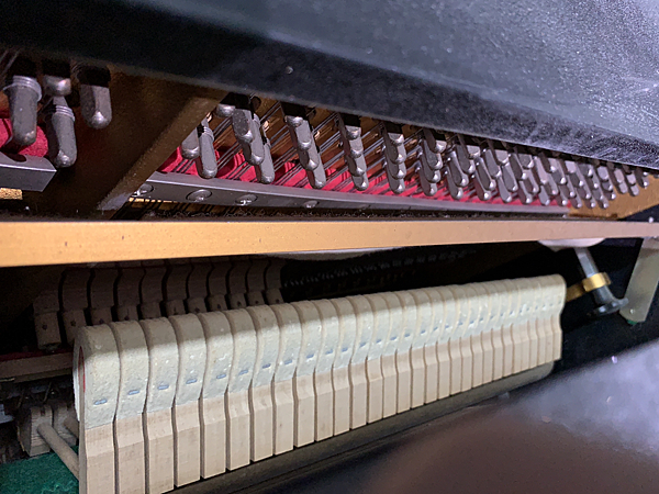 v4KNt0O.png v4KNt0O.png