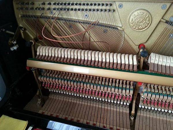 10516740_877169118959748_1939609276373361218_n.jpg 10516740_877169118959748_1939609276373361218_n.jpg