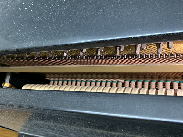 6CYB6Nq.png 6CYB6Nq.png