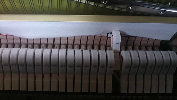 321616598_689682796232227_1016340392137425009_n.jpg 321616598_689682796232227_1016340392137425009_n.jpg