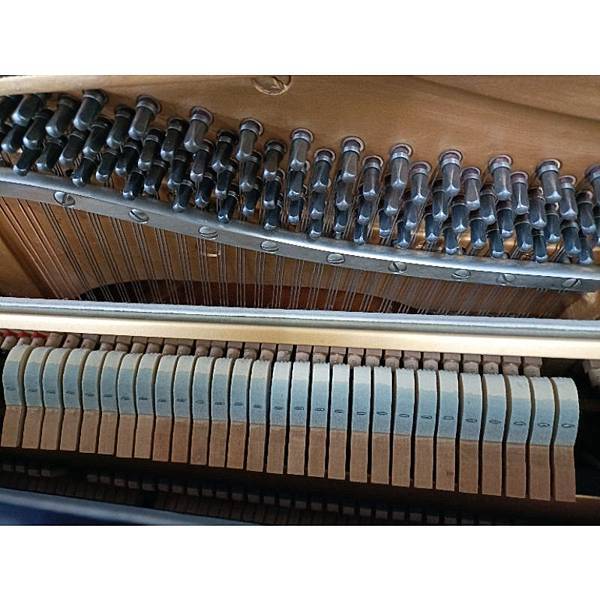 330508546_1126808711348783_8411728271516780632_n.jpg 330508546_1126808711348783_8411728271516780632_n.jpg