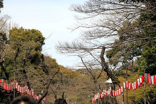 上野恩賜公園賞櫻行-7.JPG