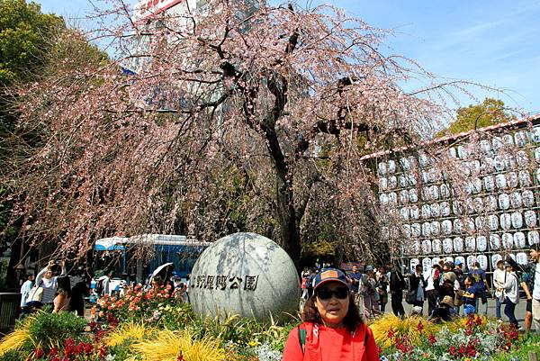 上野恩賜公園賞櫻行-62.JPG