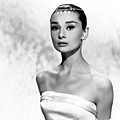 Audrey-4.jpg