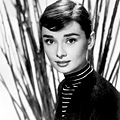 Audrey-10.jpg