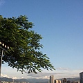 2010-08-27 17.32.29.jpg