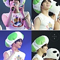 SWC-II in HK-TS~T55