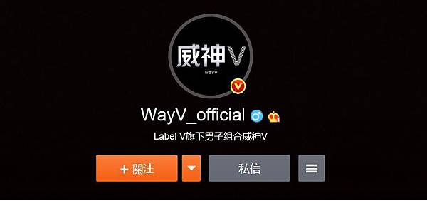 WayV