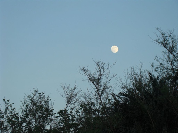 DSC01680.JPG