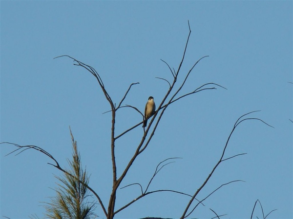 DSC01749.JPG