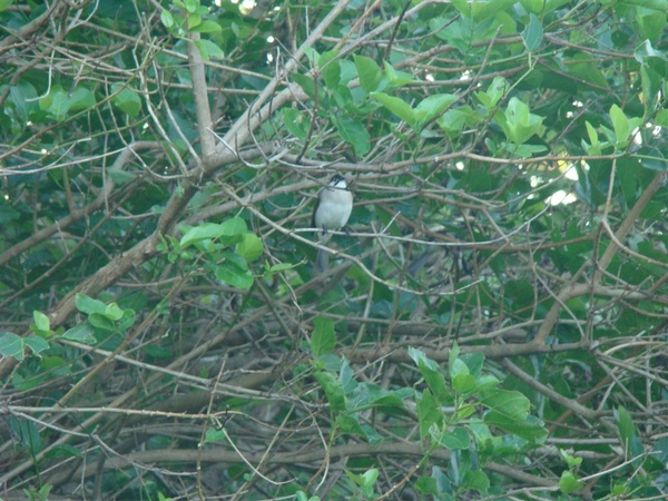 DSC01750.JPG