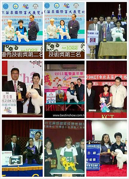 pt2016_12_11_20_22_35.jpg-1461646738 pt2016_12_11_20_22_35.jpg-1461646738