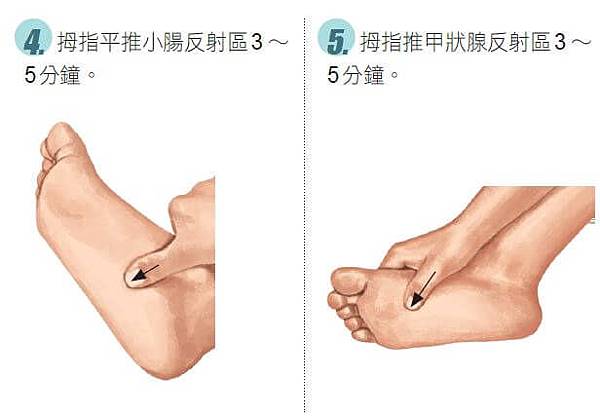 專治腸胃炎、胃潰瘍的腳部穴位按摩11