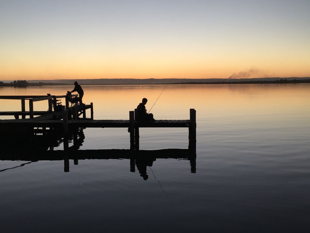 IMG_8993.JPG IMG_8993.JPG