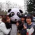 女排和panda hug