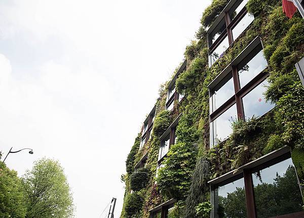 MUSEE DU QUAI BRANLY (7)