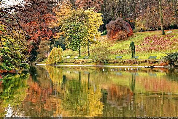 reflet-automne-parc-montsouris-2