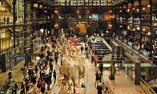 Museum巴黎博物館Paris_Museum巴黎自然博物館natural_history_museum巴黎必去博物館法國最美博物館_自然史博物館_Deyrolle_狩獵博物館-4.jpg