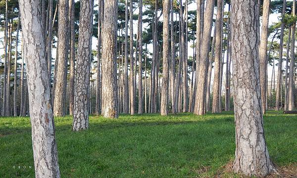 France法國巴黎公園Paris巴黎森林公園jardin春遊賞花garden巴黎公園開放時間park-14.jpg