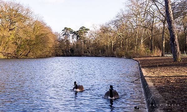 France法國巴黎公園Paris巴黎森林公園jardin春遊賞花garden巴黎公園開放時間park-17.jpg