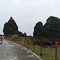 蘭嶼西部的坦克岩.JPG