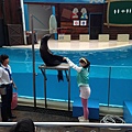 IMG_5668.JPG