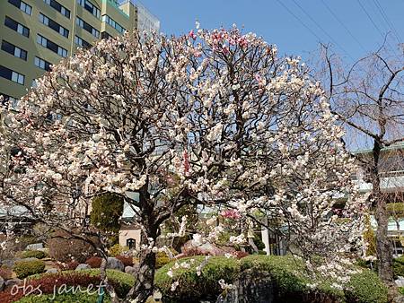 1597472223435_mh1599892892233.jpg 1597472223435_mh1599892892233.jpg