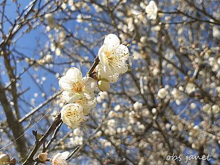 2021_01_16_18_10_36_mh.jpg 2021_01_16_18_10_36_mh.jpg