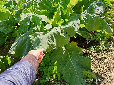 20210114_115753_mh1610791932616.jpg 20210114_115753_mh1610791932616.jpg