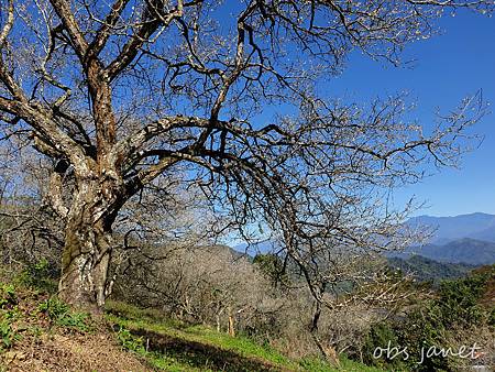 20210114_114324_mh1610794565076.jpg 20210114_114324_mh1610794565076.jpg