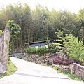 IMG_4385.JPG